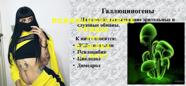 спайс Аркадак