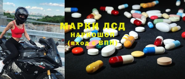 спайс Аркадак